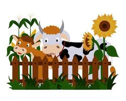 Farm animals, a cow and a calf are standing at the fence, sunflowers and corn are blooming. Illustration of a summer countryside, a pretty farm. vector