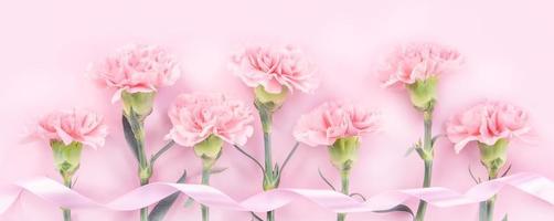 hermosa elegancia floreciente color rosa bebé tiernos claveles en fila aislados en fondo rosa brillante, concepto de diseño de saludo del día de la madre, vista superior, plano, primer plano, espacio de copia foto