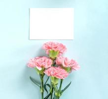 hermosos claveles tiernos de color rosa bebé frescos y florecientes aislados en un fondo azul brillante, concepto de diseño de gracias del día de la madre, vista superior, capa plana, espacio de copia, primer plano, maqueta foto
