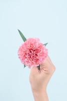 Woman giving bunch of elegance blooming baby pink color tender carnations isolated on pale blue background, mothers day decor design concept, top view, close up, copy space photo