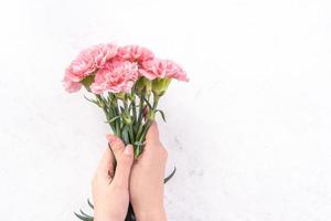 mujer dando un montón de elegancia florecientes claveles tiernos de color rosa bebé aislados en un fondo de mármol brillante, concepto de diseño de decoración del día de la madre, vista superior, primer plano, espacio de copia foto