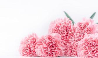 Top view front, copy space, close up, mock up, clipping path. Mothers day concept design. Beautiful fresh blooming baby pink color carnations isolated on bright white background. photo