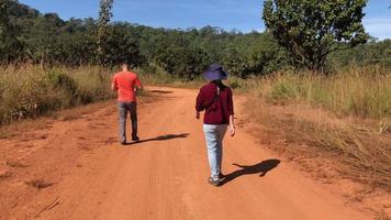 vista traseira do homem e mulher trekking na floresta no verão video