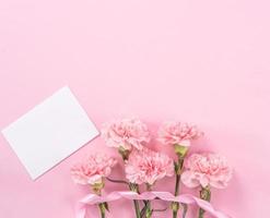 hermosos claveles tiernos de color rosa bebé frescos y florecientes aislados en un fondo rosa brillante, concepto de diseño de gracias del día de la madre, vista superior, capa plana, espacio de copia, primer plano, maqueta