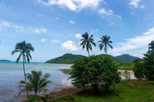 Coconut trees and beautiful sea and clouds full of sky photo