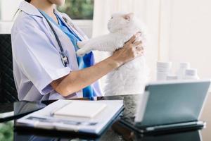 Doctor Veterinary with a three color cat on arms. medical equipment on background. photo