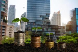 paso de crecimiento de plantas con pilas de monedas en la suciedad y el sol en la luz de la mañana de la naturaleza. concepto de ahorro de dinero. y ciudad foto