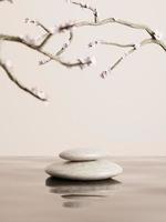 3d minimal pebble display podiums on water and plum flower tree. 3d rendering of realistic presentation for product advertising. 3d minimal illustration. photo