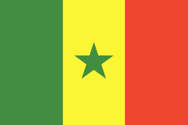 Senegal flag. Official colors and proportions. National Senegal flag.