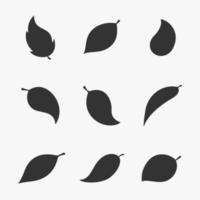 Vector illustration on the theme leaves icons