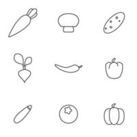Vector illustration on the theme vegetables