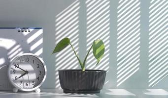 luz solar y sombra en la superficie de una pequeña planta de interior verde en maceta con reloj de mesa redonda y calendario de escritorio en una mesa blanca a la hora de la mañana foto