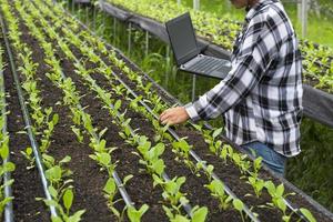Cropped image of young female farmer holding laptop and working in vegetable nursery plot area in organic farm photo