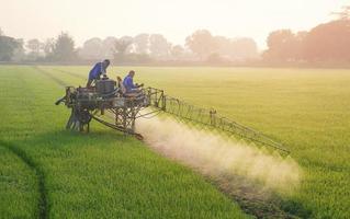 Two Asian farmers on sprayer tractor spraying chemical and fertilizer in green paddy field at morning time, technology in agriculture concept