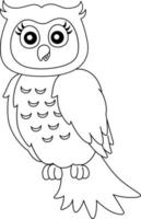 Owl On A Tree Branch Coloring Page Isolated vector