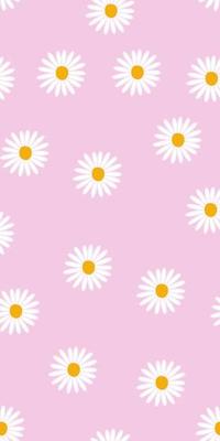 Pink Daisy Pictures | Download Free Images on Unsplash
