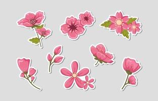 conjunto de pegatinas de flor de cerezo vector