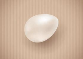 huevo blanco vectorial en estilo realista para pascua. vector