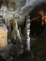 cueva kárstica en postojna foto