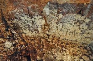 Grotte di Toirano meaning Toirano Caves are a karst cave system photo