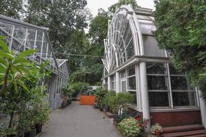 jardín botánico en varsovia foto