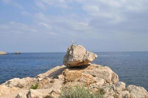 Cala Ratjada beach in Majorca photo