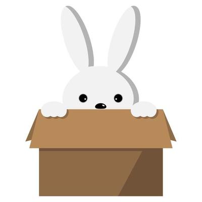 Easter rabbit in bardboard box.