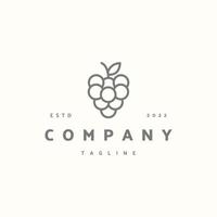 Grapes premium icon sign symbol. Hipster vintage logo vector