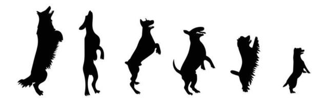 Vector silhouette of a dog on white background.