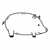 Pig in doodle style. Vector contour illustration. Coloring book with animals for children. Inhabitants of farm.