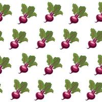 Seamless pattern of burgundy beetroot with tops vector