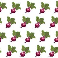 Seamless pattern of burgundy beetroot with tops vector