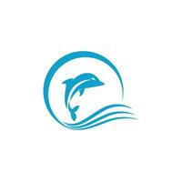 Dolphin logo icon design concept vector template