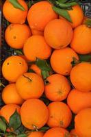 Orange tangerine fruit photo