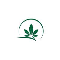 Cannabis leaf logo design vector template