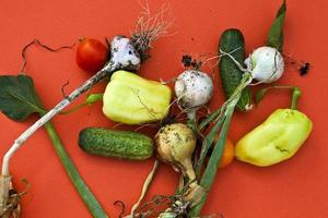 Tomato, cucumber, green onion and bell pepper. photo