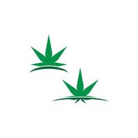 Cannabis leaf logo design vector template