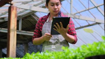 mulher bonita jardineira usa um tablet enquanto trabalha em uma estufa. mulher asiática feliz cuidando de plantas preparadas para venda. video