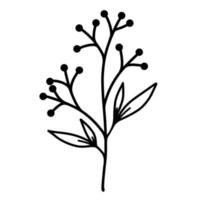 Twig with leaves and berries. Vector icon isolated on white background. Hand-drawn black doodle. Botanical element. Field grass contour. Branch silhouette.