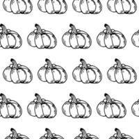 Ripe pumpkins outline seamless vector pattern. Hand drawn illustration on white background. Autumn harvest sketch, garden vegetables. Backdrop for Thanksgiving, Halloween, fall festival