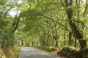 Views and Details of Lugo Countryside photo