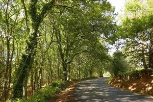 Views and Details of Lugo Countryside photo