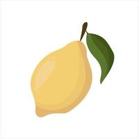 Isolated lemon on white background for fabric design. Vector illustration background. Cartoon vector illustration. Colorful flat vector illustration. Vector isolated illustration.