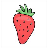 Strawberry in chocolate. Illustration of colorful strawberry. Vector. Vector illustration