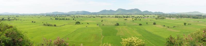 Landscape with green fields, green fields photo