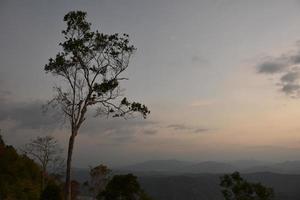 Dry trees against a mountain backdrop in the morning of the day. photo