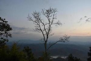 Dry trees against a mountain backdrop in the morning of the day. photo