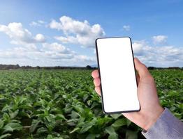 teléfono móvil inteligente que tiene una pantalla táctil en blanco en la mano, concepto para usar un teléfono móvil inteligente con transacciones en línea. foto