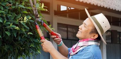 un hombre asiático de mediana edad está usando tijeras de podar para cortar y cuidar el arbusto y el ficus en su área de origen, enfoque suave y selectivo, concepto de actividad de tiempo libre. foto