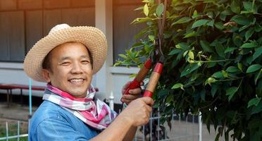 un hombre asiático de mediana edad está usando tijeras de podar para cortar y cuidar el arbusto y el ficus en su área de origen, enfoque suave y selectivo, concepto de actividad de tiempo libre. foto